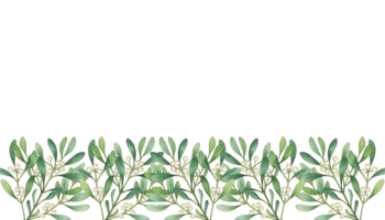 Olive branch border with leaves and berries png