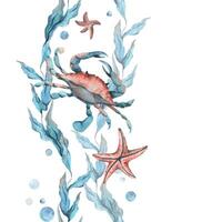 Crab, sea blue algae with leaves wriggling in wave with bubbles and coral starfish. Hand drawn watercolor illustration of underwater world. Seamless vertical border pattern for long projects design vector