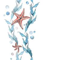 Sea blue algae with leaves wriggling in wave with bubbles and coral starfish. Hand drawn watercolor illustration of underwater world. Seamless vertical border pattern for long projects design vector