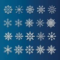 Set of various snowflakes vector