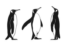 Set of penguin. Hand drawn illustration on white background vector
