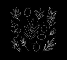 Minimalist botanical line art of olive branches and leaves in white on a black background. Collection leaves and olives decorative designs. vector