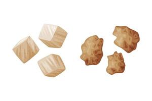 Soy Tofu Cube and Meat as Natural and Organic Product from Soybean Plant Set vector