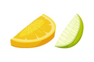 Lemon and Lime Slice as Citrus Fruit for Dish Garnish Set vector