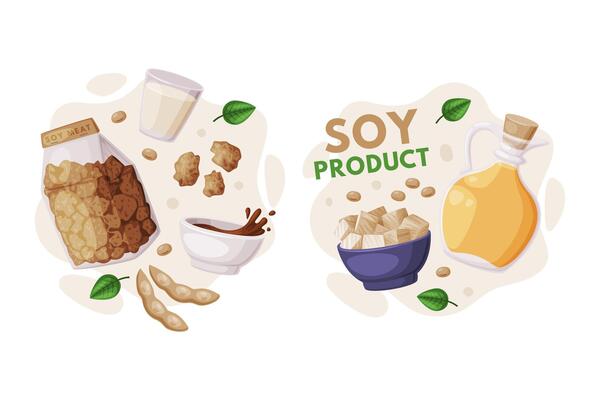 Natural Soy Products from Soybean Plant with Tofu, Milk, Oil and Sauce Composition Set