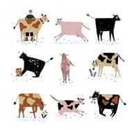 Cows of Different Breeds Set, Cattle Breeding, Farming, Dairy Cattle, Illustration vector