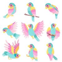 Collection of Tropical Parrots in Different Poses Illustration vector
