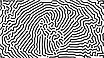 Geometric abstract illusion art with concentric lines vector