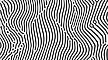 Vertical wavy lines in black and white abstract art vector