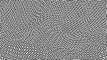 Dense black and white abstract pattern with small lines vector