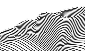 Optical wave pattern with flowing black lines in a dynamic abstract design vector