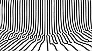 Optical art with black wavy lines and fluid design vector