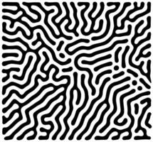 Black and white Turing pattern with abstract lines vector