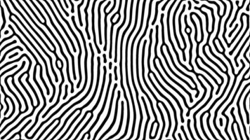 Black and white optical art with symmetrical curved lines vector