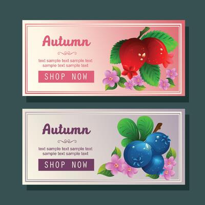 blueberry cranberry autumn horizontal banner