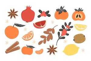 Set of winter fruits with spices vector