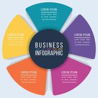 5 Steps infographic business design colorful vector
