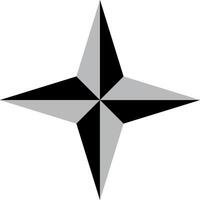 A four pointed star of grey color vector