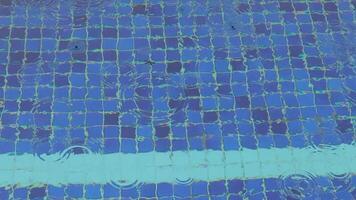 Rain drops falling in a swimming pool with a dead bug floating around video