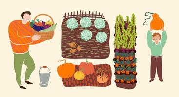 people harvesting vegetables like pumpkins, carrots, and cabbages in a garden. The colorful and simple style is perfect for farm, garden, and autumn harvest themes. vector