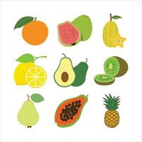 illustration of a collection of different varieties of fruits. vector