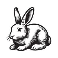 a black and white image of a rabbit sitting down vector