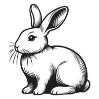 a black and white drawing of a rabbit vector