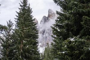 View of fog with mountain Geisler peaks in the Dolomites, Italy. photo