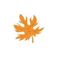 Maple leaf isolated. Thanksgiving concept. vector