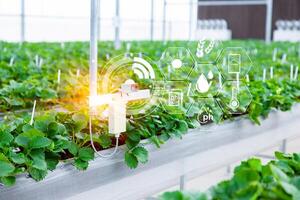 Agriculture smart farming technology sensor co2 humidity lighting temperature monitoring device for automation plant nursery in greenhouse photo