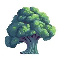 Fresh broccoli, ripe and healthy icon isolated vector