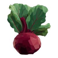 Fresh vegetarian common beetroot, healthy meal icon isolated vector