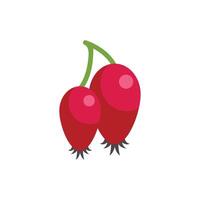 Two ripe rose hips hanging on green twig isolated on white background vector