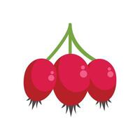 Three red berries hanging from branch minimalist illustration vector