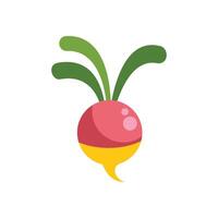 Fresh radish growing out of the ground with green leaves vector