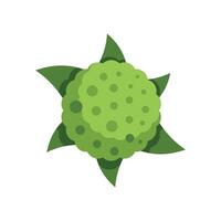 This top view green bush is a great design element for games and mobile apps vector