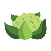 Fresh green cauliflower with leaves showing healthy eating vector