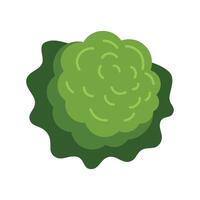 Green round bush growing on top view position vector