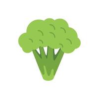 Fresh green broccoli florets growing healthy food illustration vector