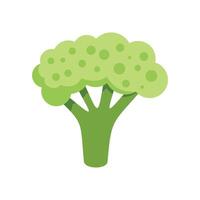 Fresh green broccoli illustration with white background vector
