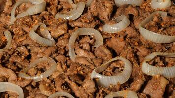 a close up of meat and onions photo
