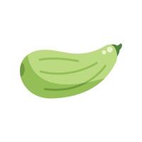 Green zucchini squash lying horizontally with green highlights vector