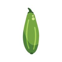 Green zucchini showing its freshness in minimalist illustration style vector