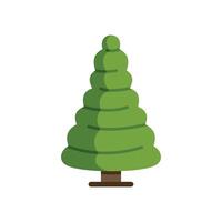Stylized green coniferous tree growing with lush branches icon vector