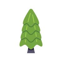 Stylized green coniferous tree standing tall on white background vector