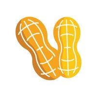 Two peanuts in shell lying next to each other vector