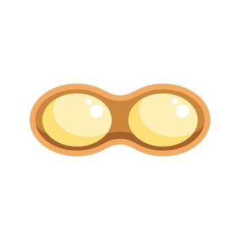 abrió maní demostración dos semillas dentro cáscara vector