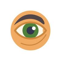 Human eye looking observing watching vision eyeball eyebrow icon vector