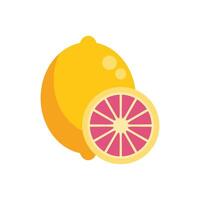 Yellow lemon with a slice showing the inside of the citrus fruit vector