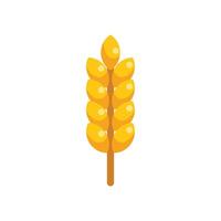 Single wheat stalk growing with grains on white background vector